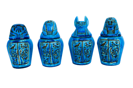 Picture for category Canopus